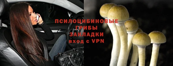 гидропоника Алзамай