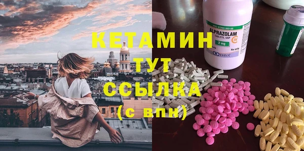 стаф Аркадак