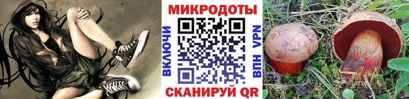Галлюциногенные грибы ЛСД где найти Солигалич